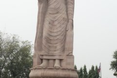 DSC00287-scaled