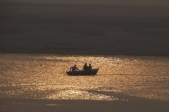 DSC00491
